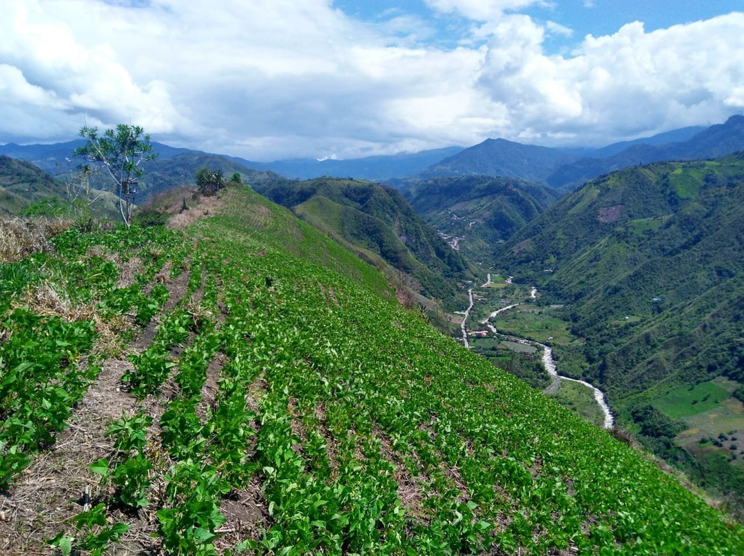 Willka Eco Lodge主图