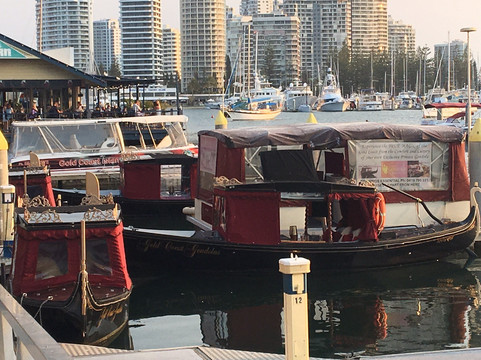 Gold Coast Gondolas-冲浪者天堂必去景点