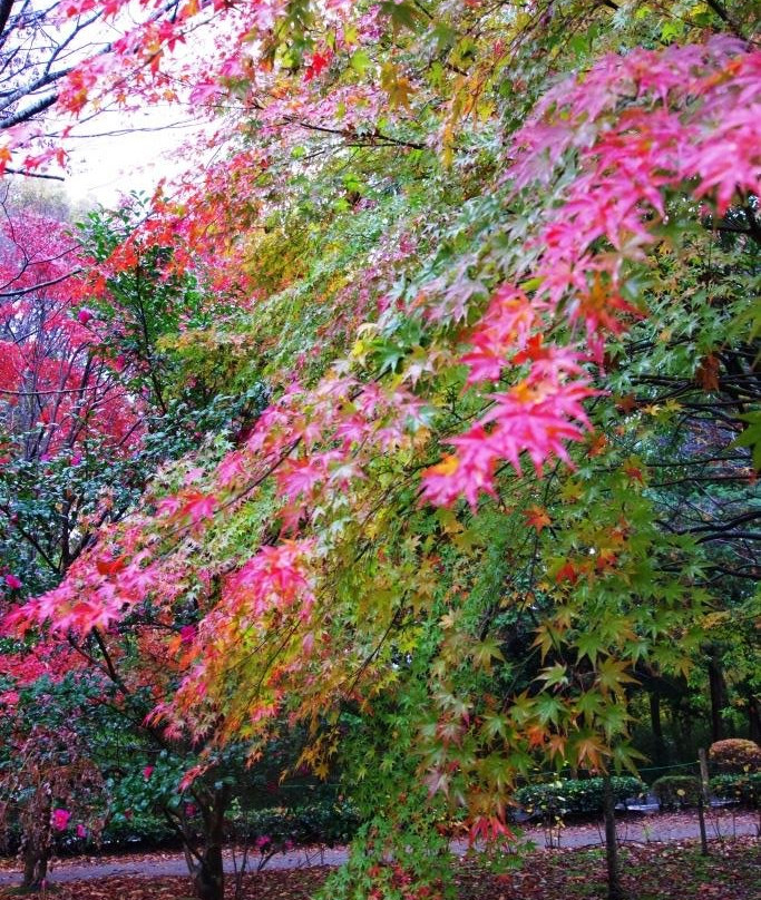 Nagaoka Park-宇都宫市必去景点