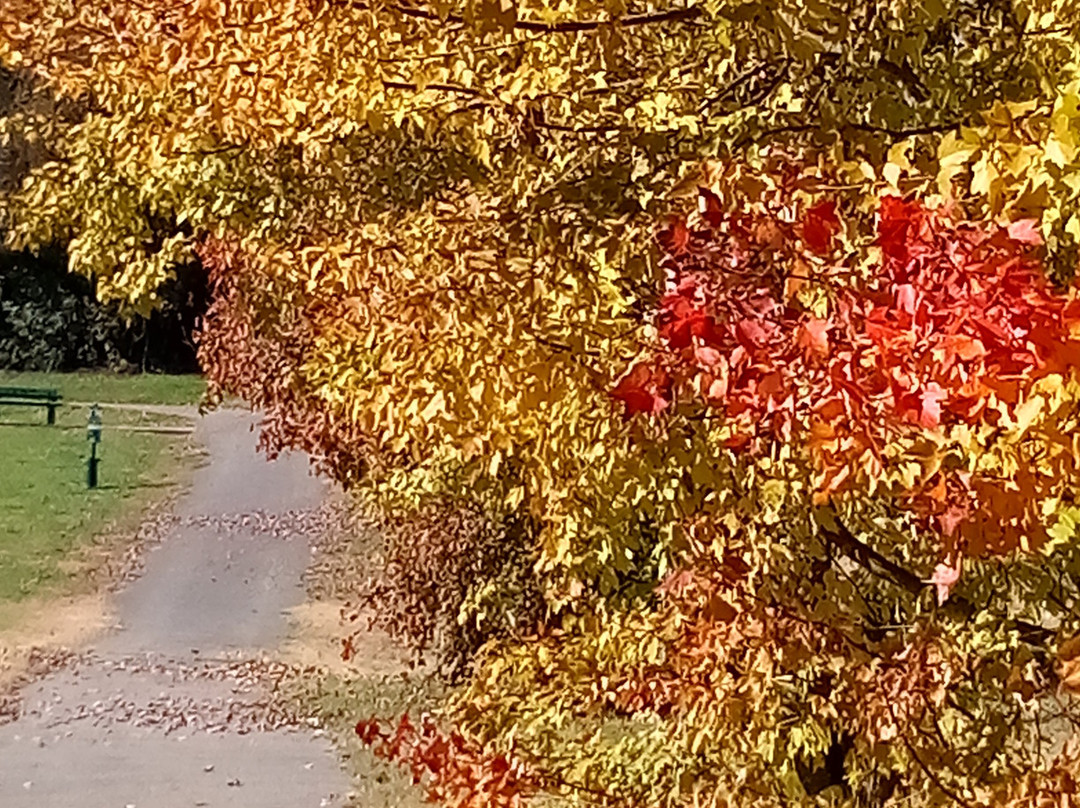 Centennial Park-Jefferson City必去景点