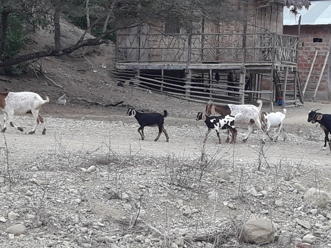 Agua Blanca-Machalilla National Park必去景点