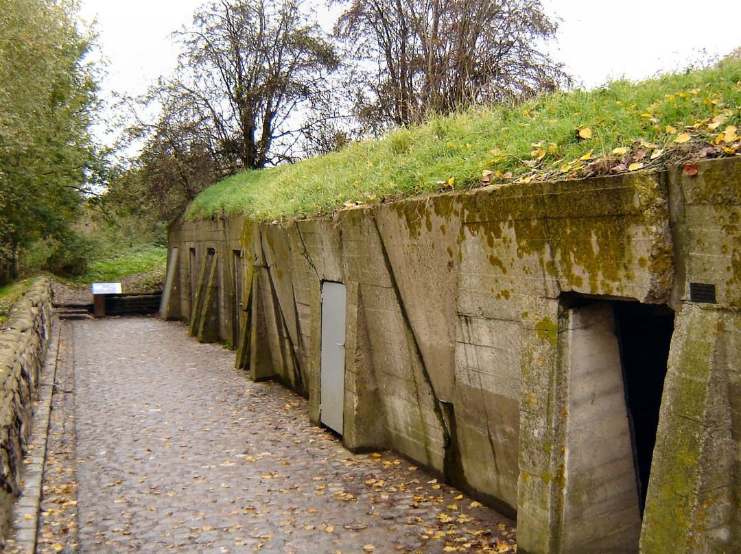 John McCrae Site-伊普尔必去景点