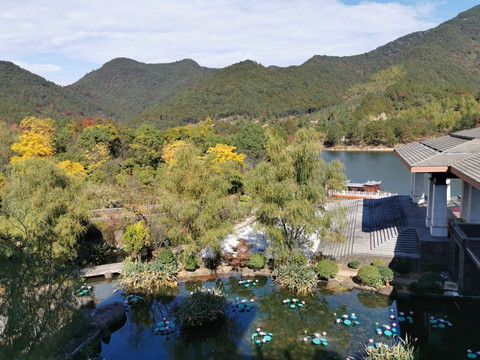 中翔雷迪森温泉酒店主图