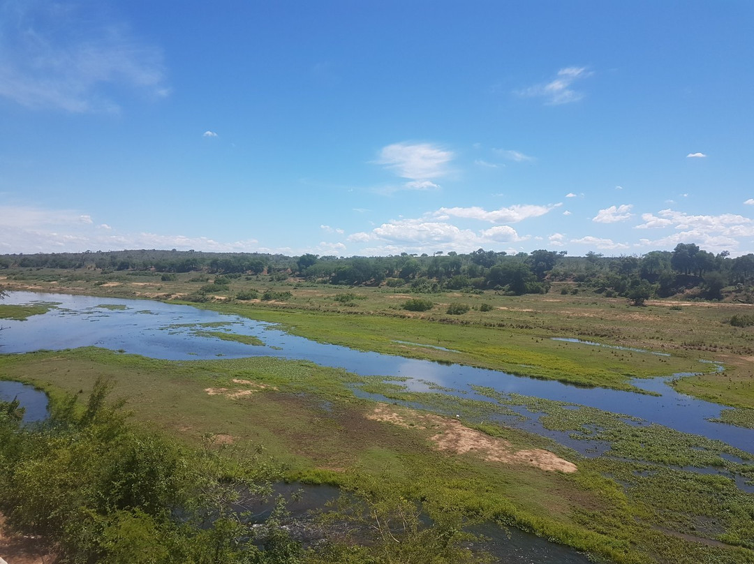 Steenbok旅游攻略图片