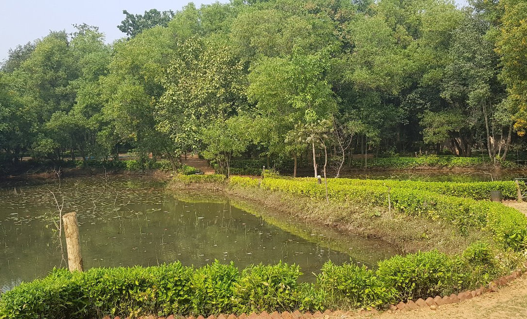 Tiger Trails Resort主图