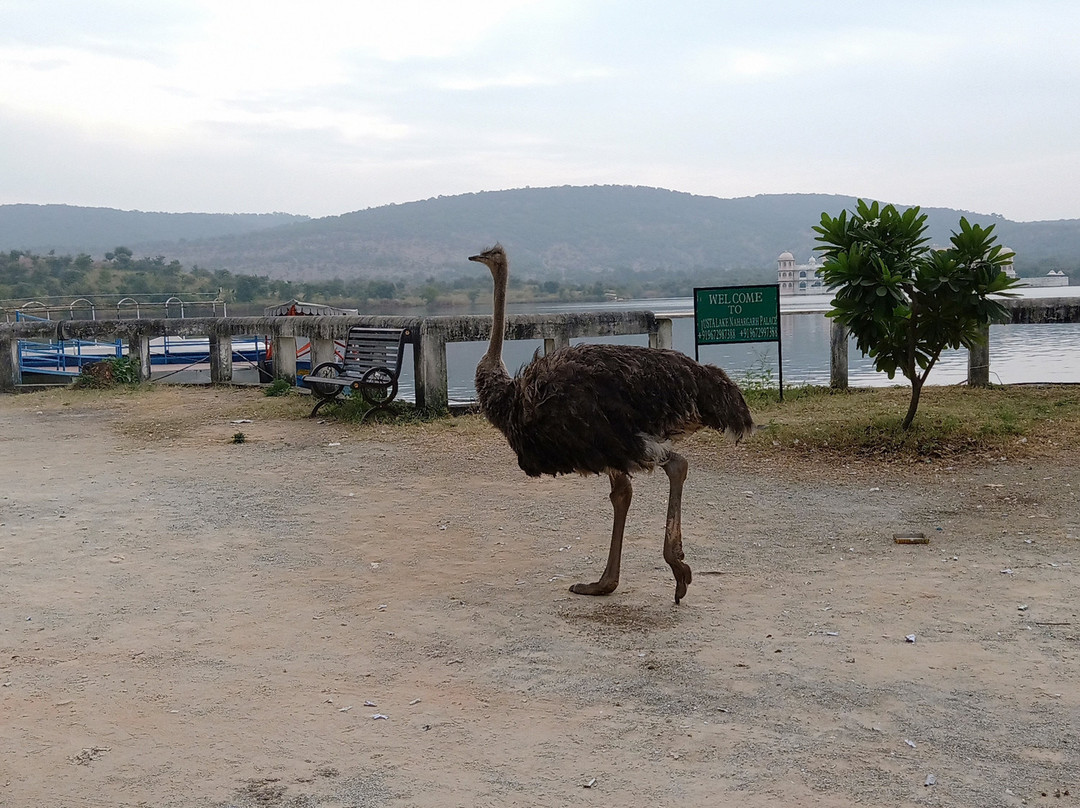 jüSTa Lake Nahargarh Palace, Chittorgarh主图