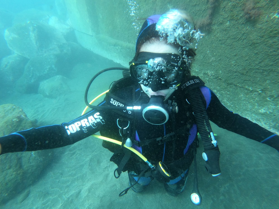 Scorpio Madeira Diving Center-卡尼卡尔必去景点
