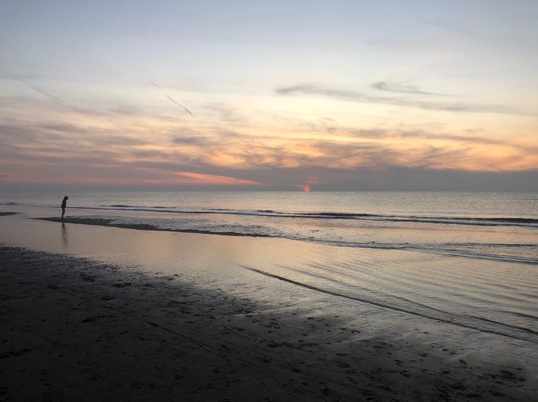 het strand van Bergen aan Zee景点图片