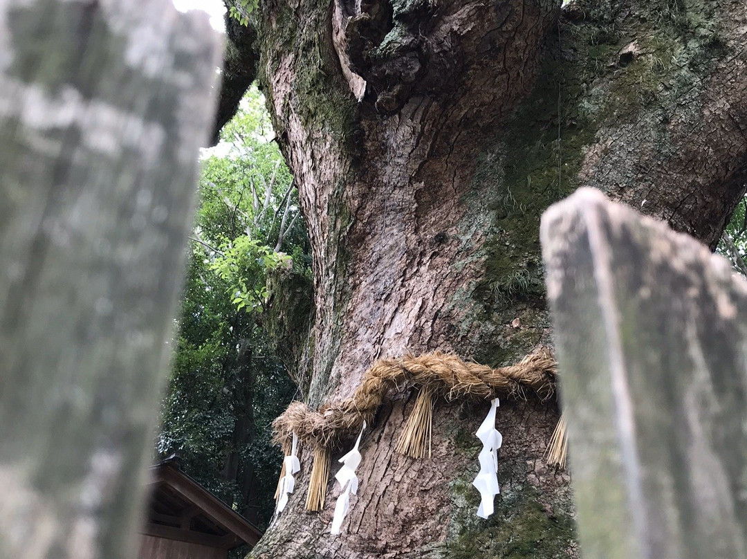 热田神宫景点图片