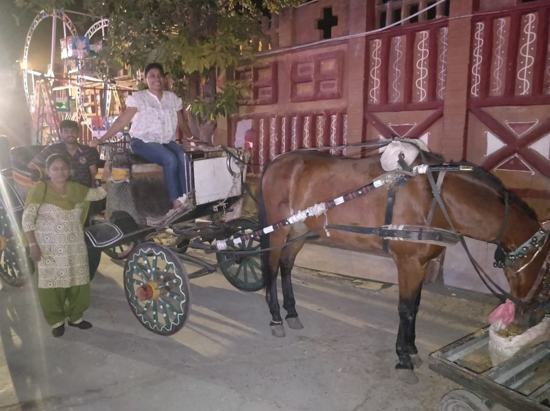 尼亚利哈尼酒店主图