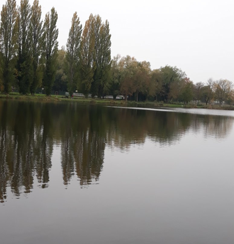 Parc Saint-Pierre景点图片