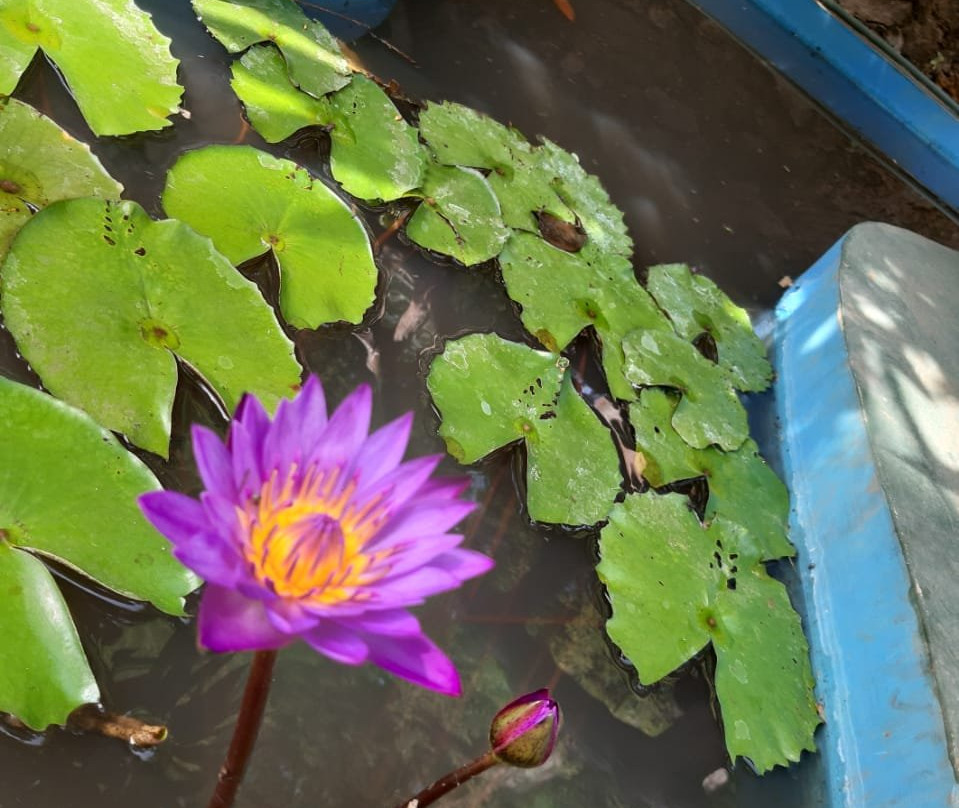 National Holiday Resort主图