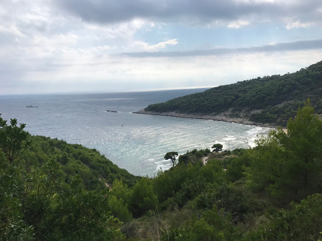 Zaton Travel Dubrovnik Boat Excursion景点图片