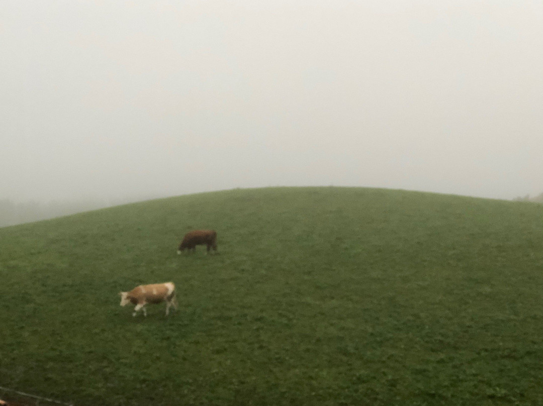 La Ferme du Bourgoz主图