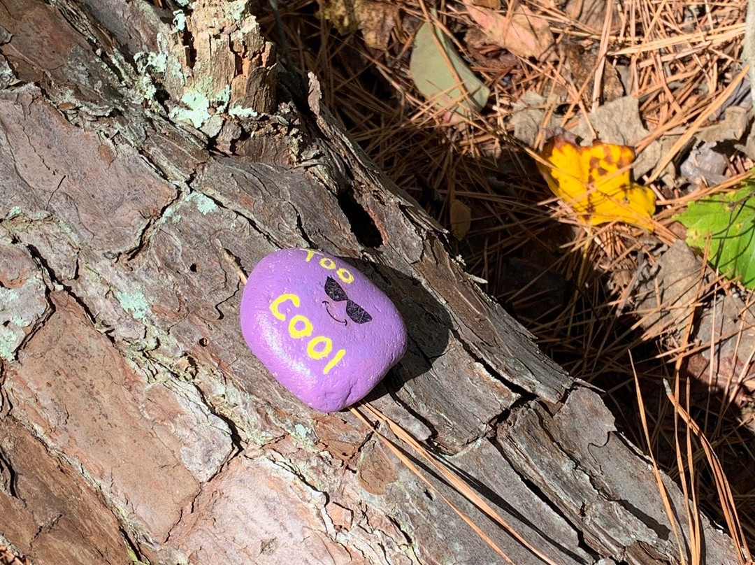 Sope Creek Trail-玛丽埃塔必去景点