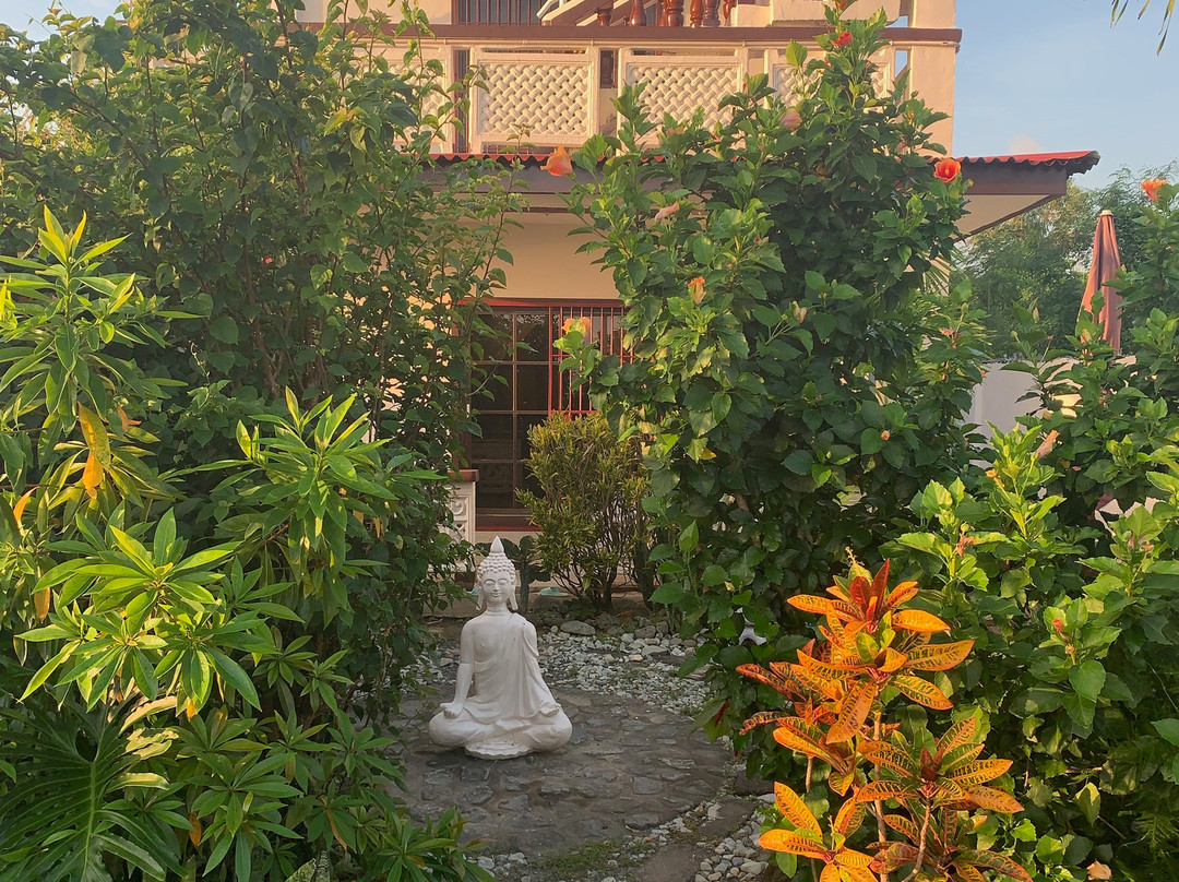 Olana Bed & Breakfast主图