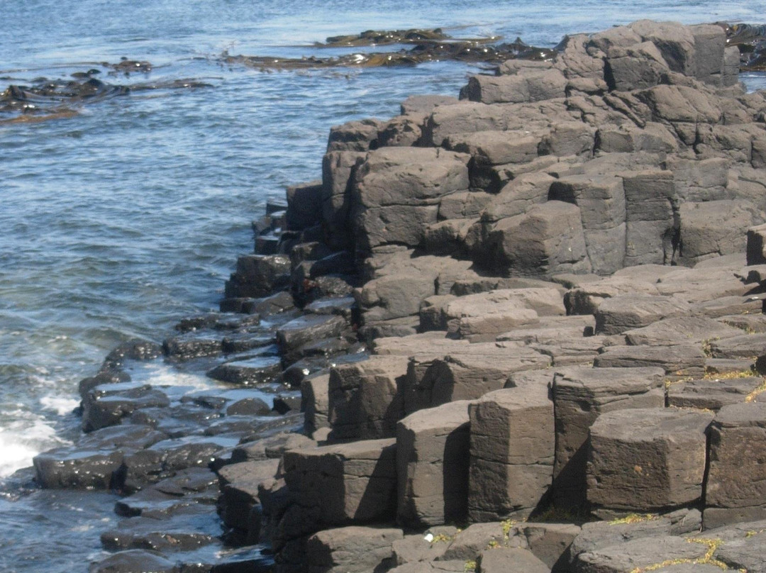 Tourism Chatham Islands景点图片