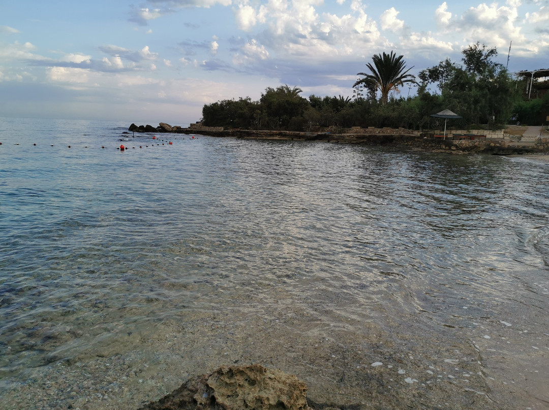 Riviera Beach Bungalows主图