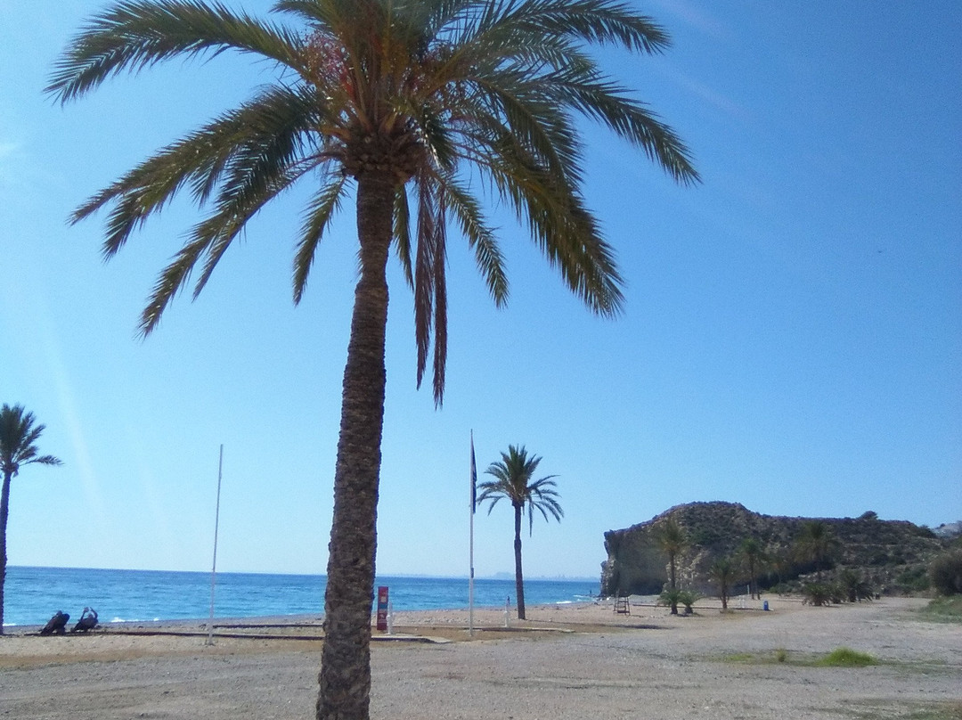 Playa El Paraiso景点图片