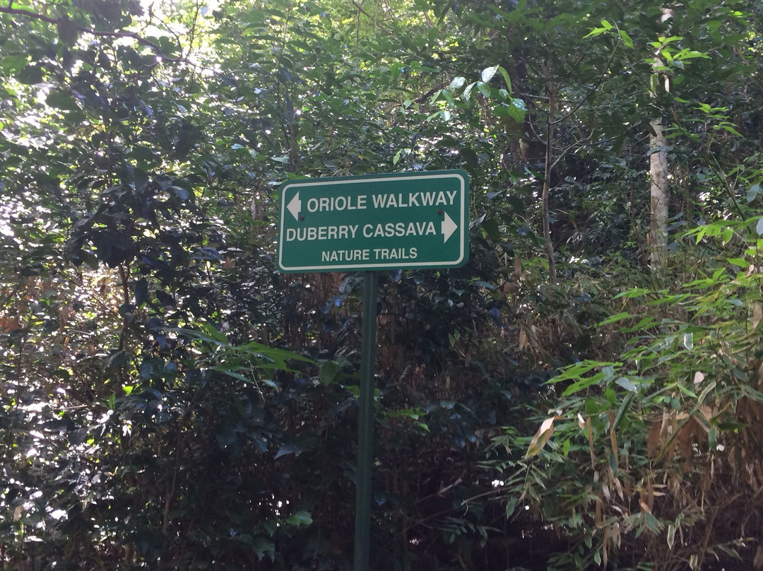 Duberry-Cassava Trail