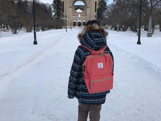 Guided Walking Tour of Old St. Boniface - Tours