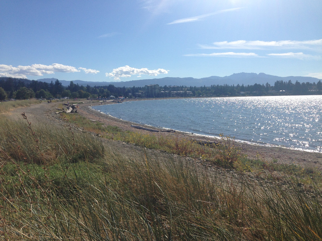 Parksville Community Park and Skate Park景点图片