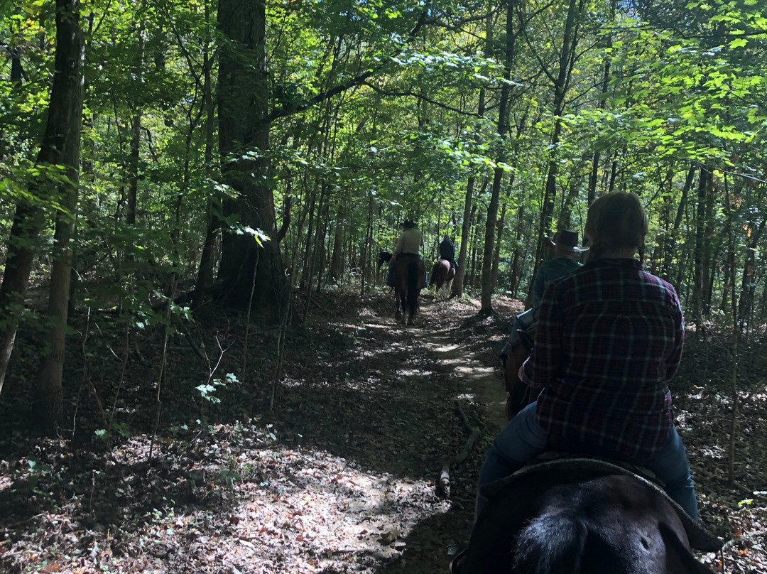 JuRo Stables-Mount Juliet必去景点