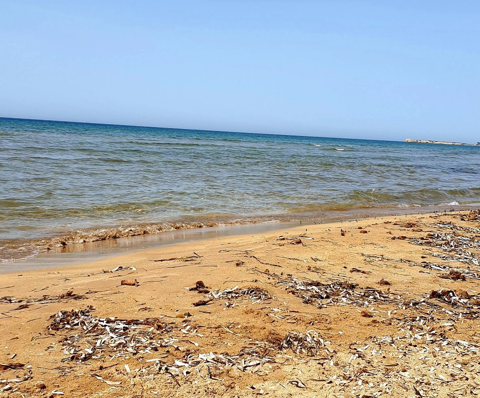 Spiaggia Granelli景点图片