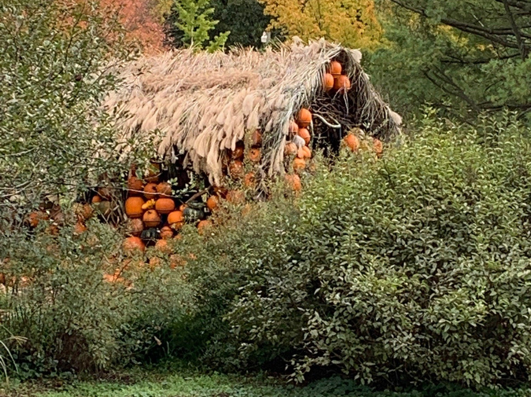 Fernwood Botanical Garden-Buchanan必去景点