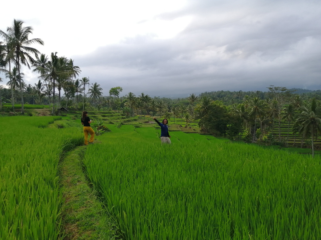 Ijen Bluefire Indonesia-巴纽旺宣必去景点