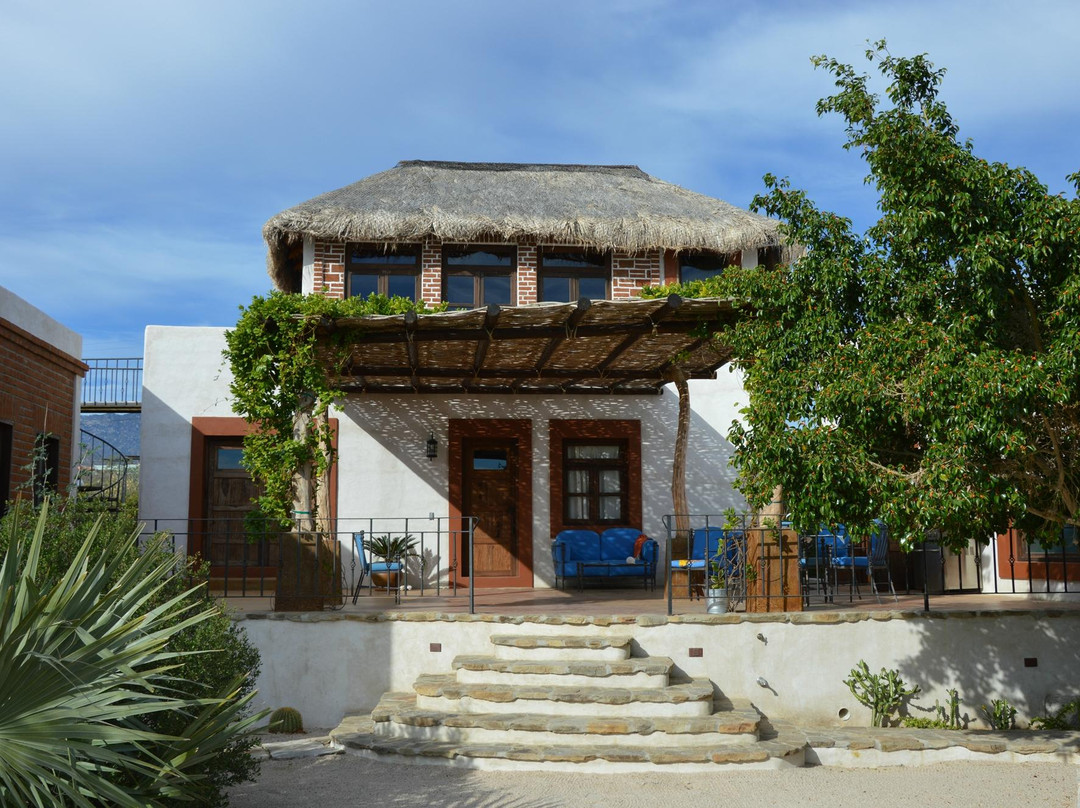 Sea Sniper Baja-El Sargento必去景点