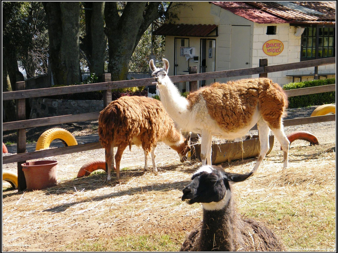 Xalatlaco Municipality旅游景点-Rancho Magico