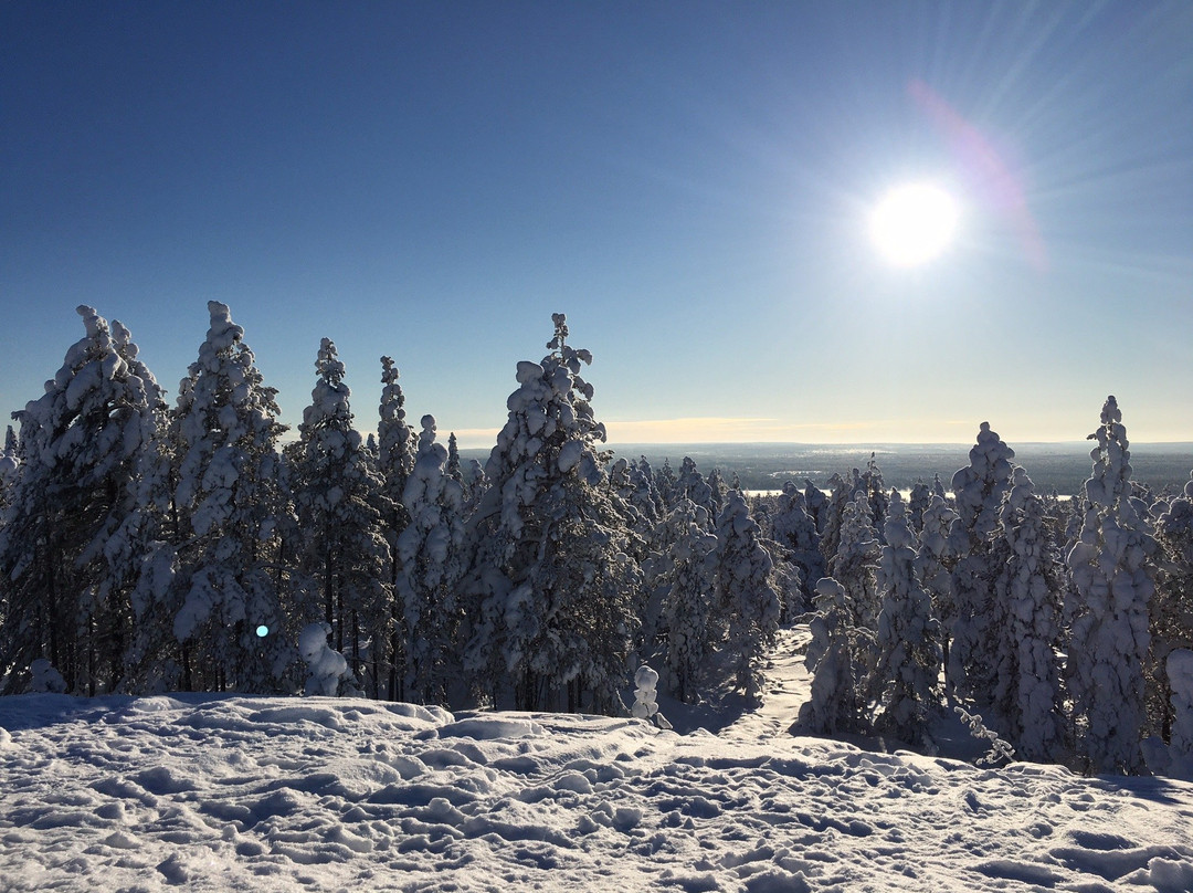 Lapland Hotel Olos主图
