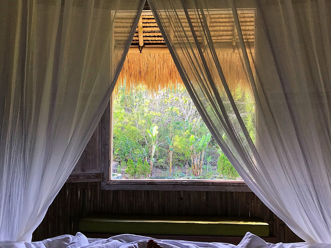 The Mesare Resort主图