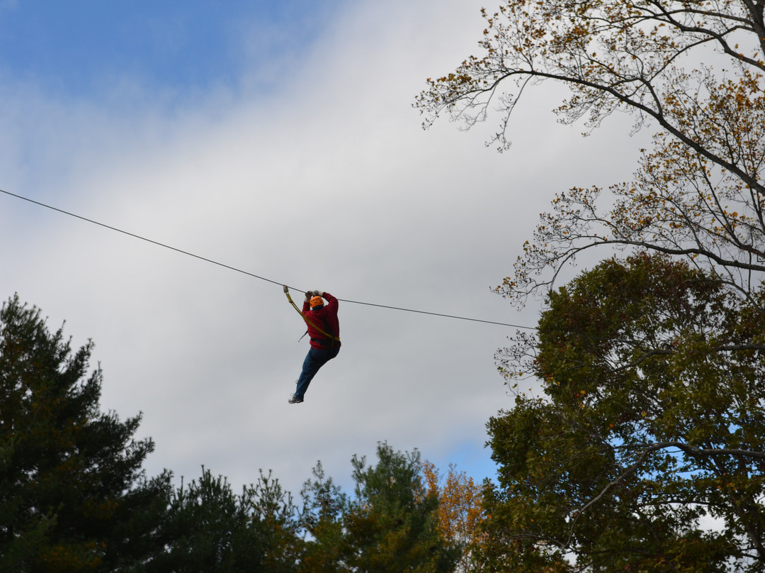 Asheville Zipline Canopy Adventures景点图片