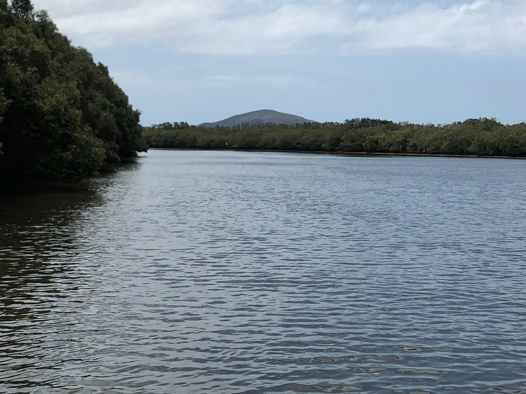 Maroochy Wetlands Sanctuary Reserve景点图片