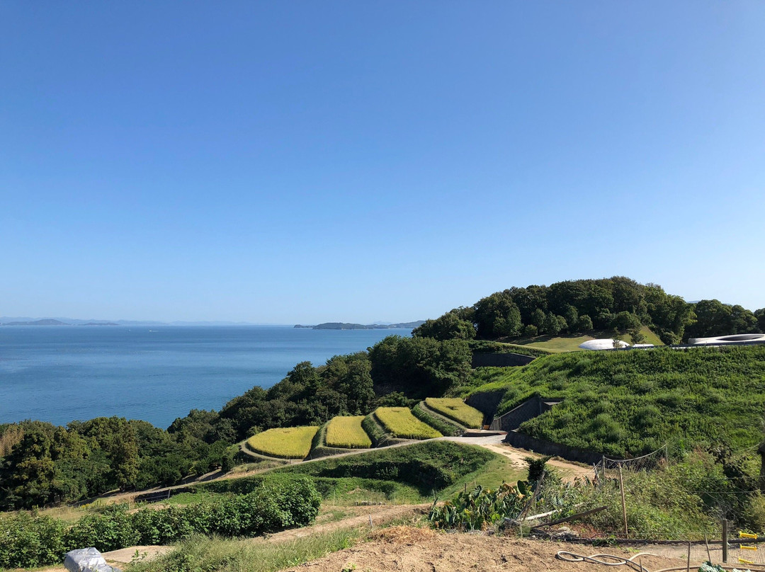 Teshima Terraced Rice Field Project景点图片