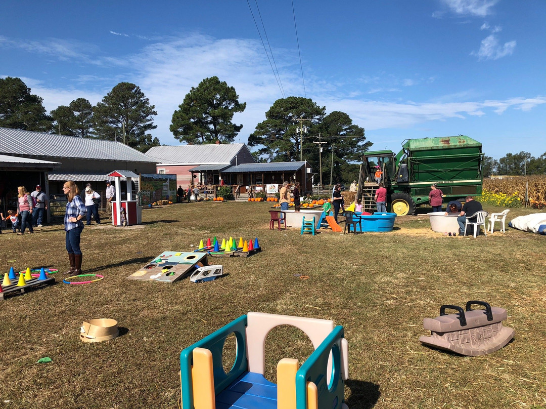 Darden's Country Store-Smithfield必去景点