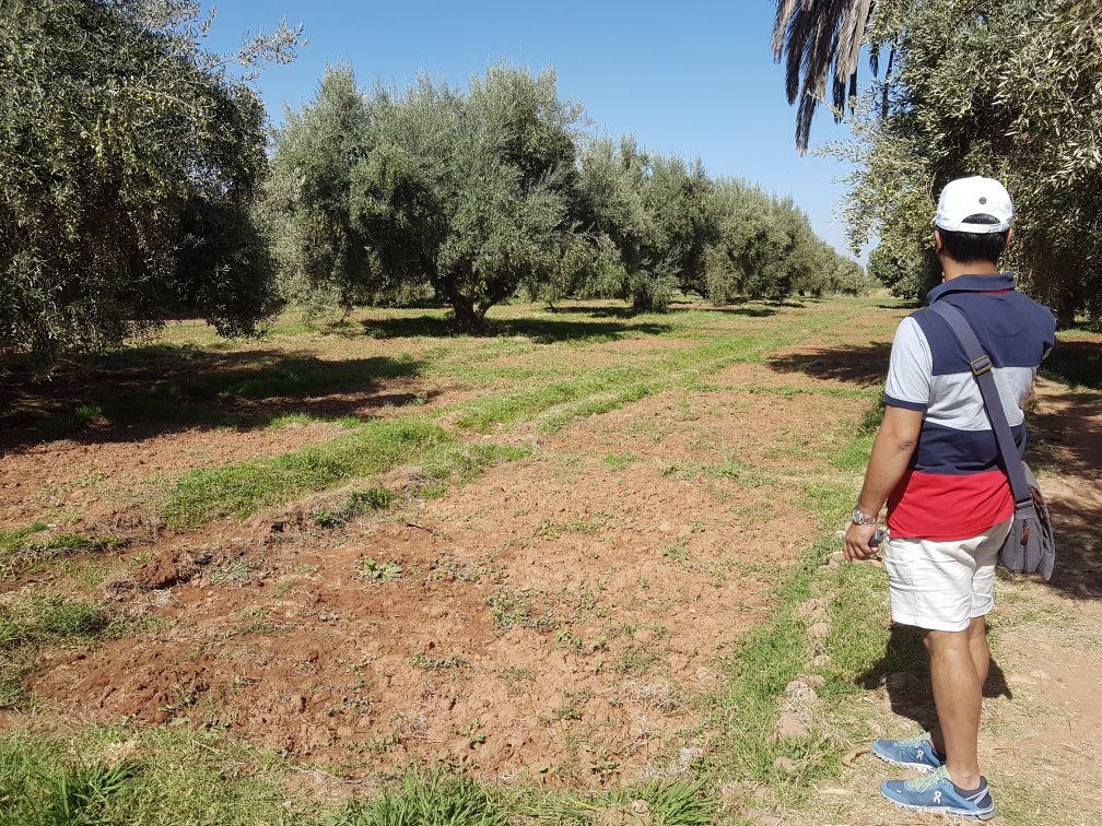 Le Jardin du safran-Ourika必去景点