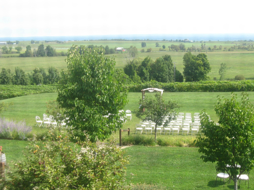 Tug Hill Vineyards景点图片