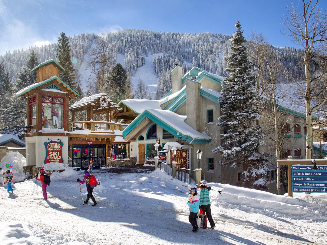 Cottam's Thunderbird