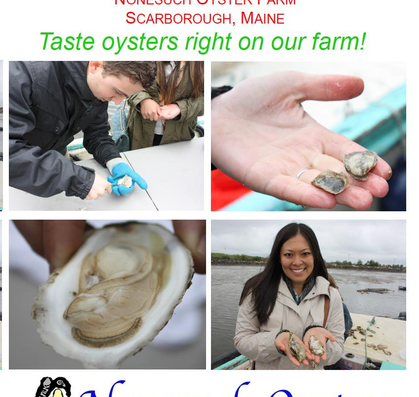 Nonesuch Oysters-斯卡伯勒必去景点