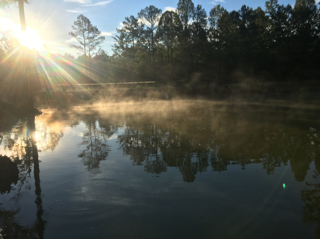 Cumberland Falls Farm景点图片