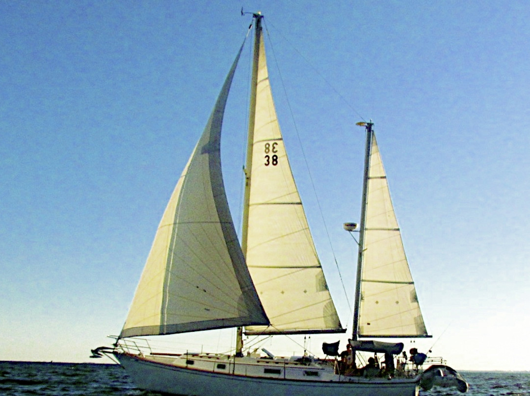 Sailors Sailing Adventures景点图片