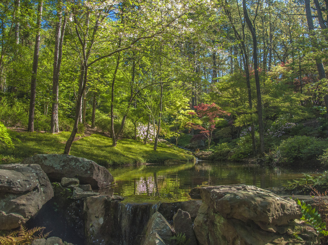 Garvan Woodland Gardens景点图片