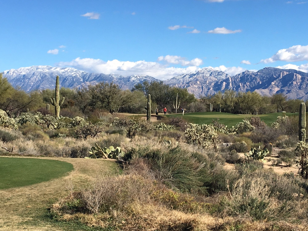 The Highlands at Dove Mountain Golf Course-马拉纳必去景点