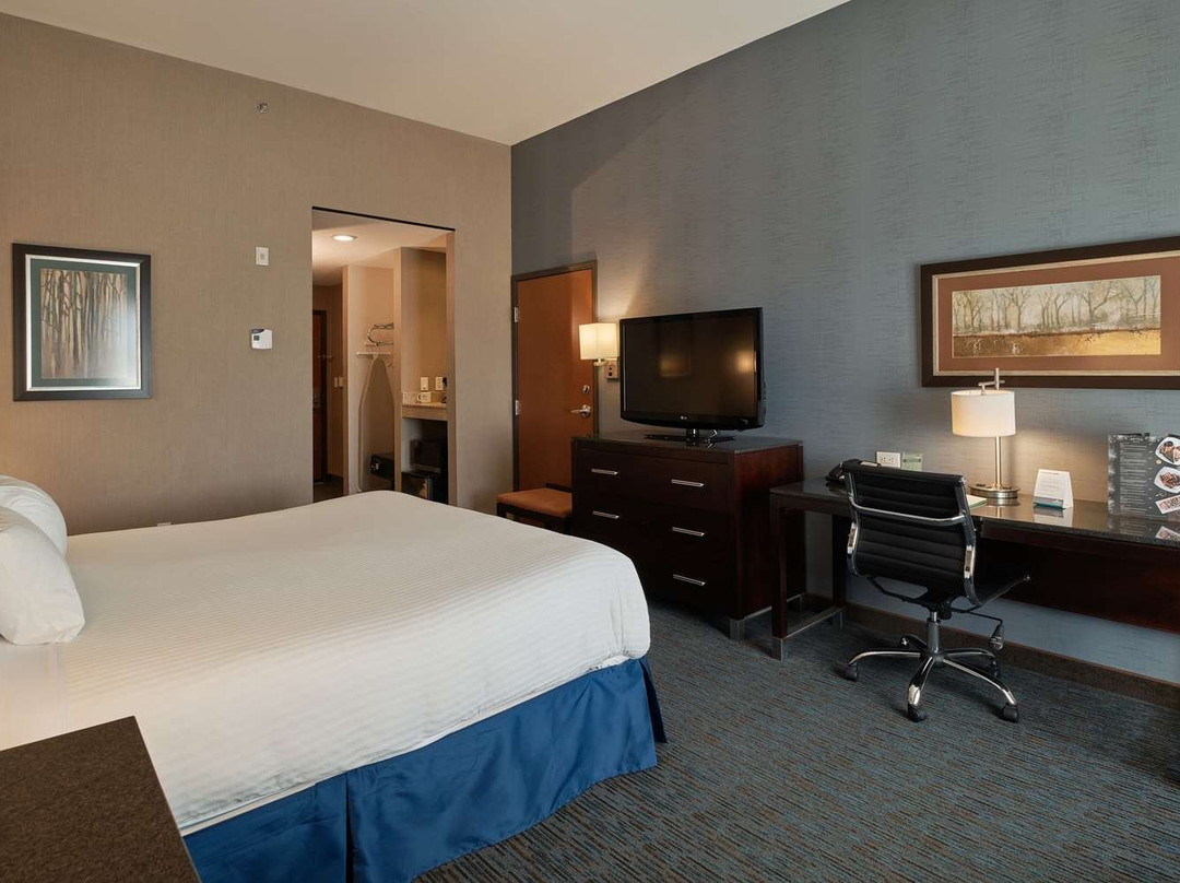 Wingate by Wyndham Chihuahua主图