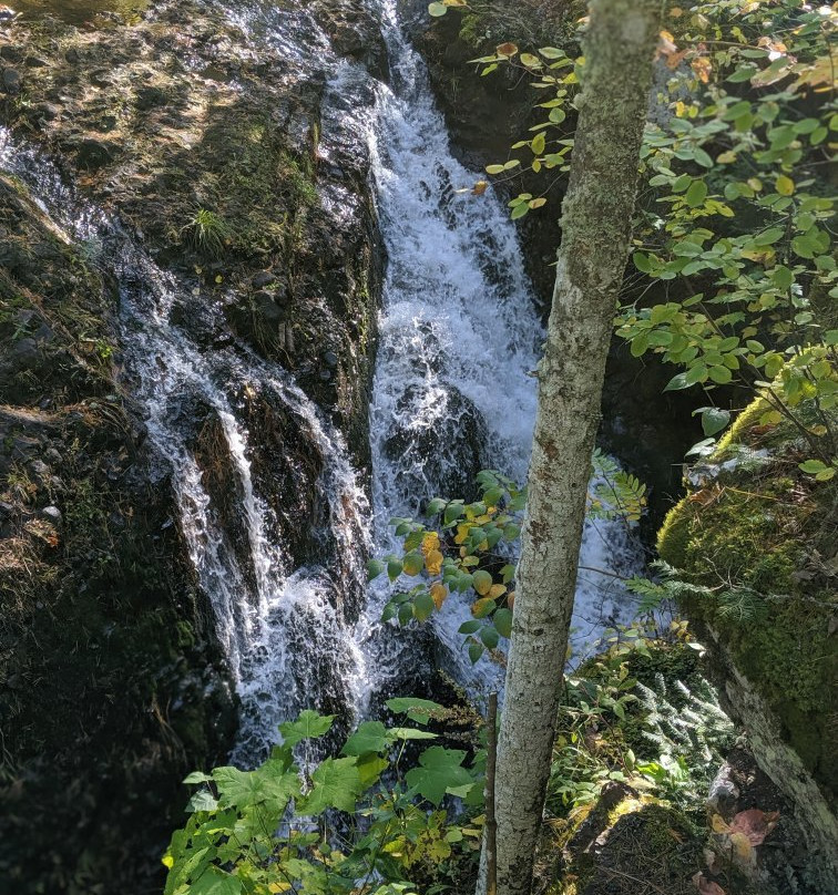 Manganese Falls景点图片