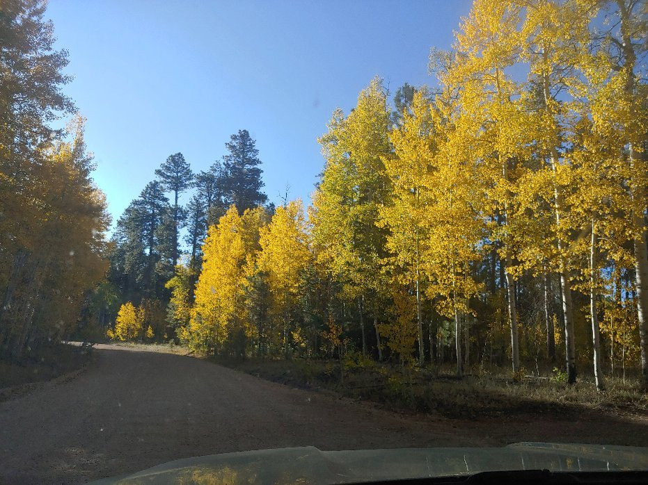 Kaibab National Forest-Jacob Lake必去景点