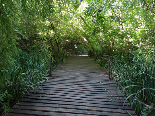 Eco Area Municipal-Avellaneda必去景点